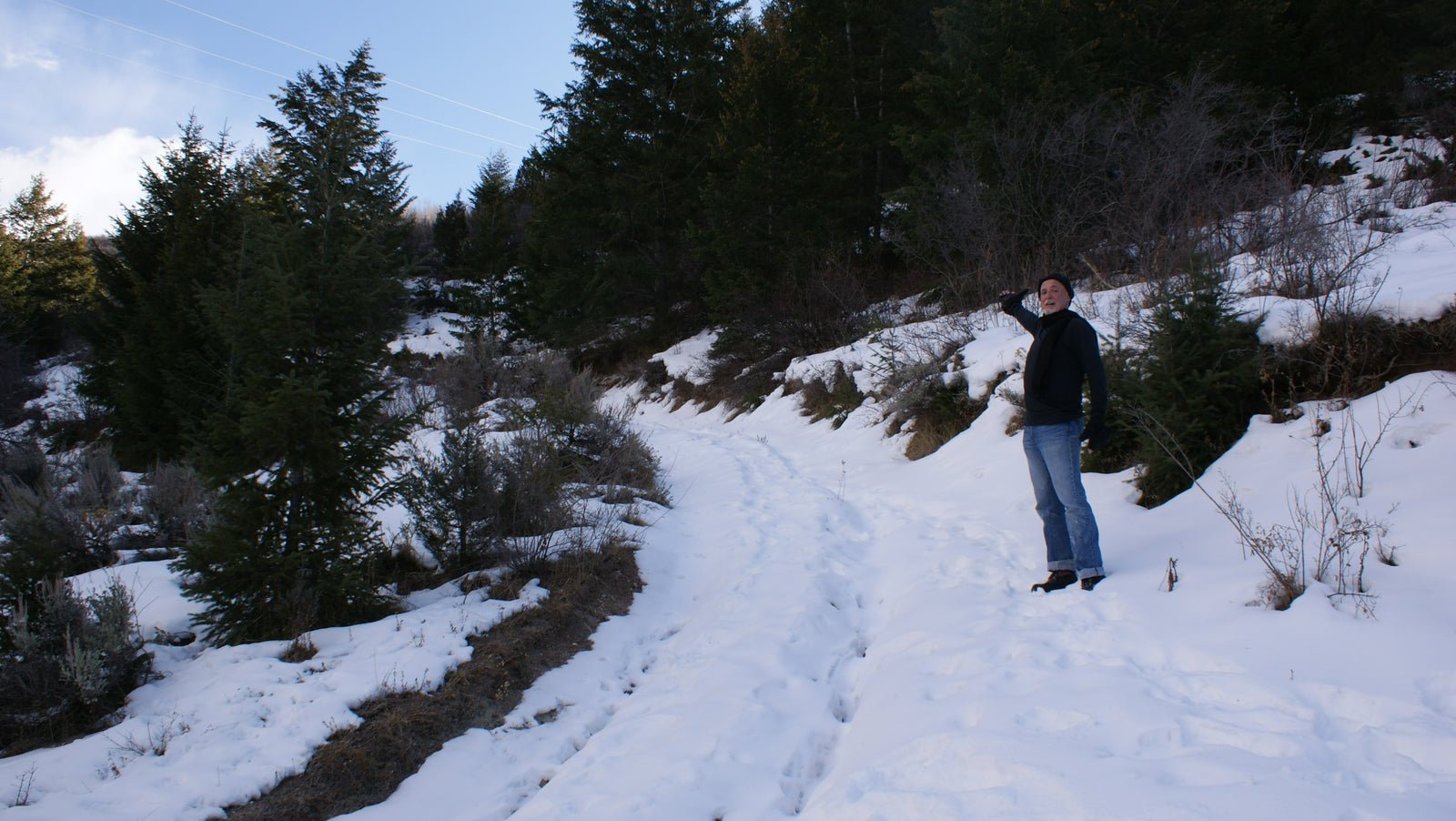 Compassion and Care: Keeping Your Dog Safe From the Elements This Winter