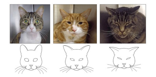 Is Your Cat in Pain? Use These Signs to Find Out