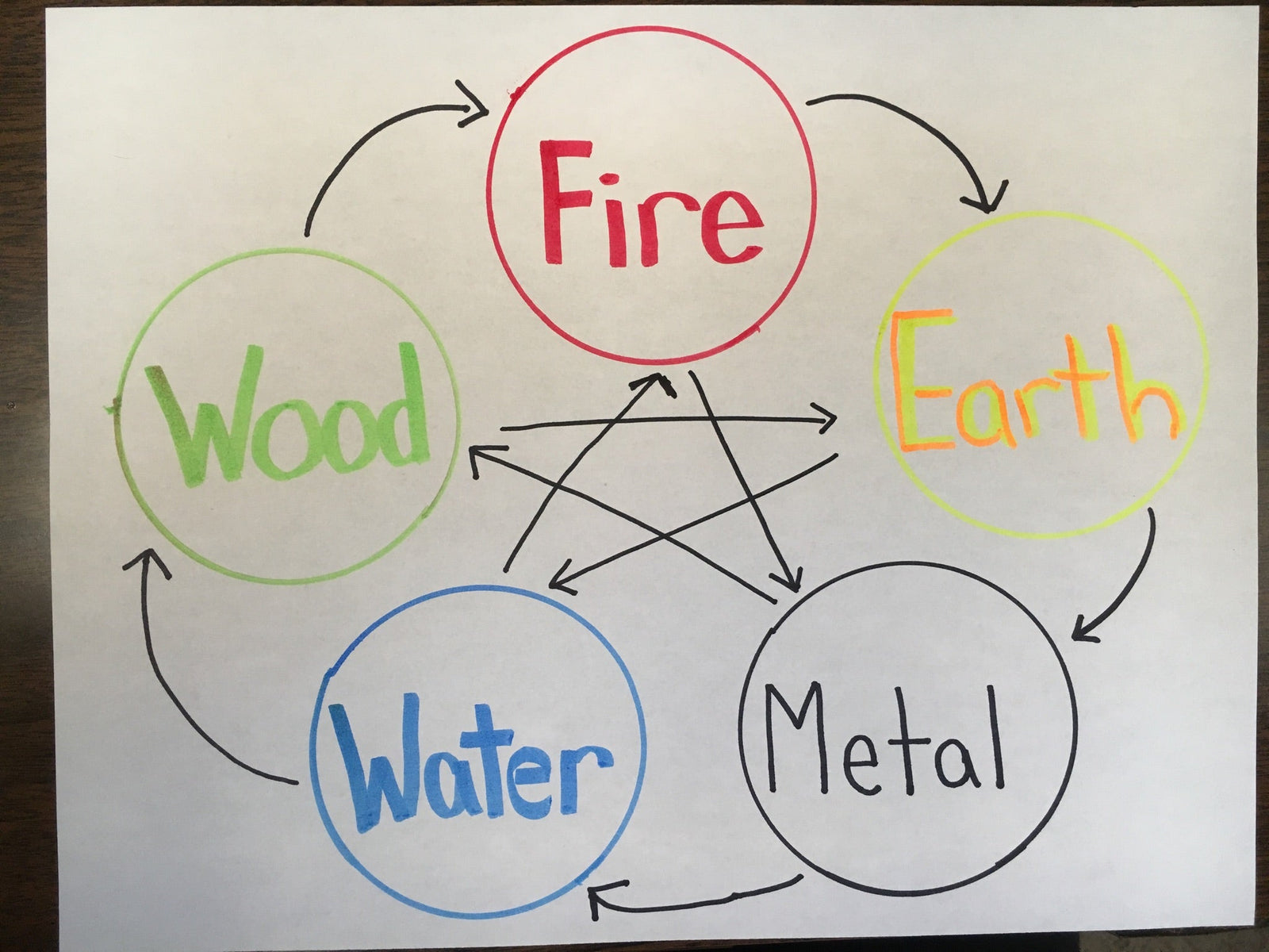 The Wrong and Right Foods for your Pets' Personality