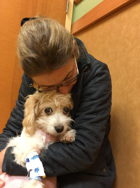 Compassionate Care Should Be Mandatory