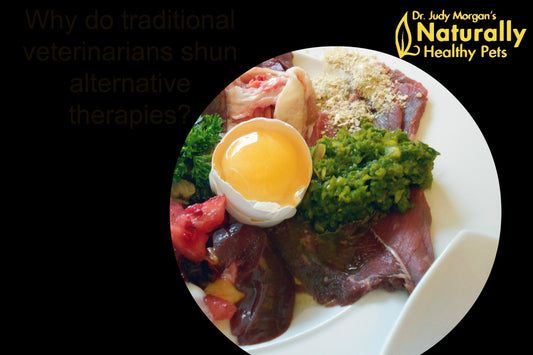 Are All Raw Food Diets Created Equal?