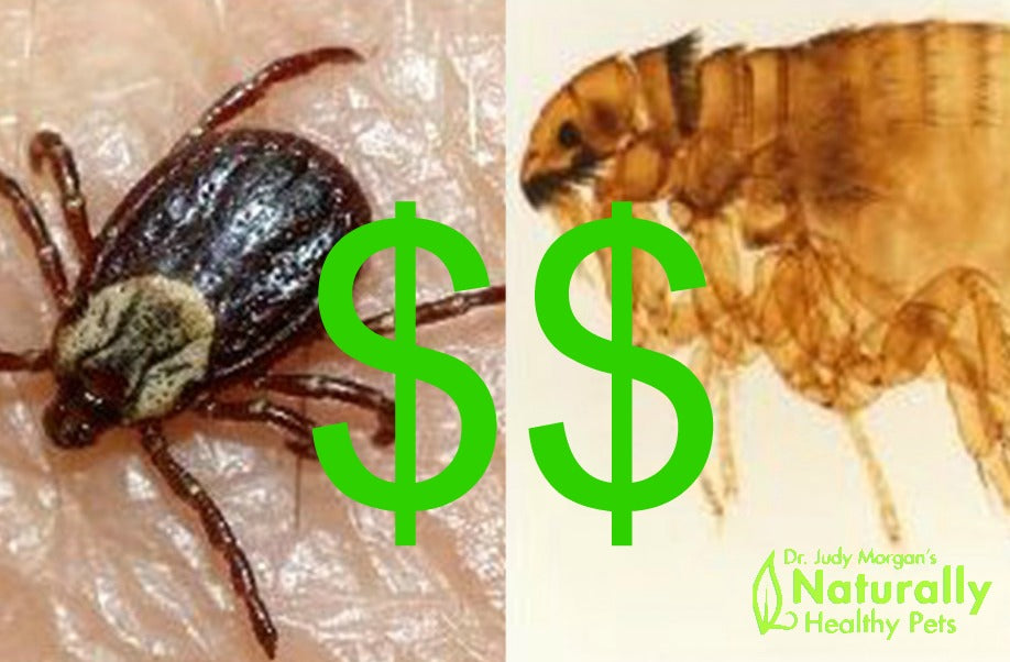 Flea & Tick Prevention Necessary for Your Pet or Your Veterinarian's