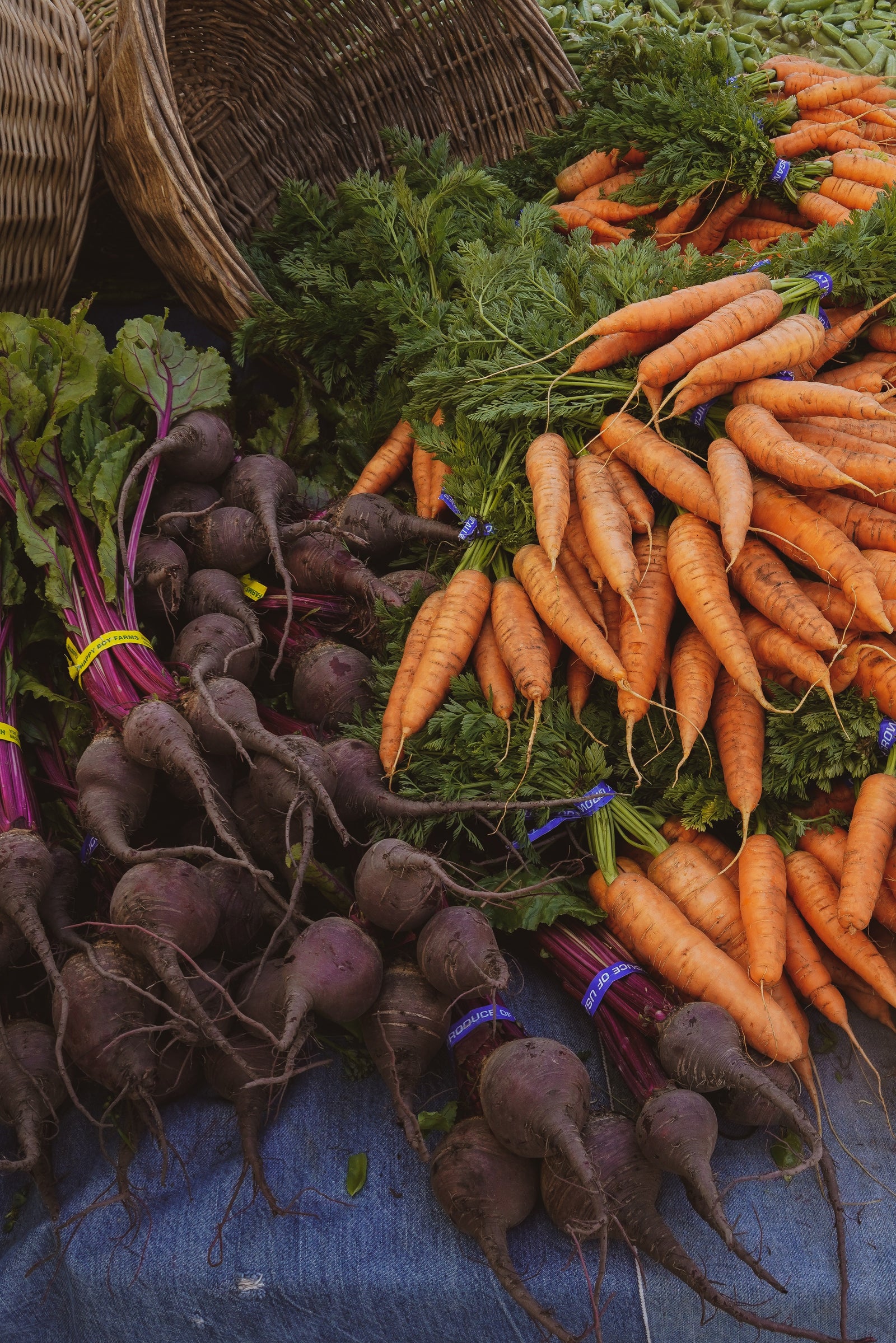 Fall Stew Using Seasonal Root Veggies