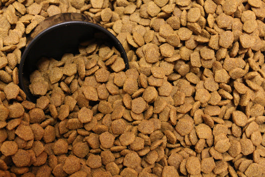 Debunking pet food myths