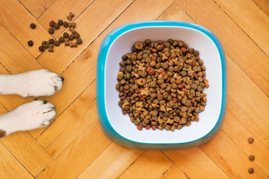 Making Sense of Pet Food Labeling