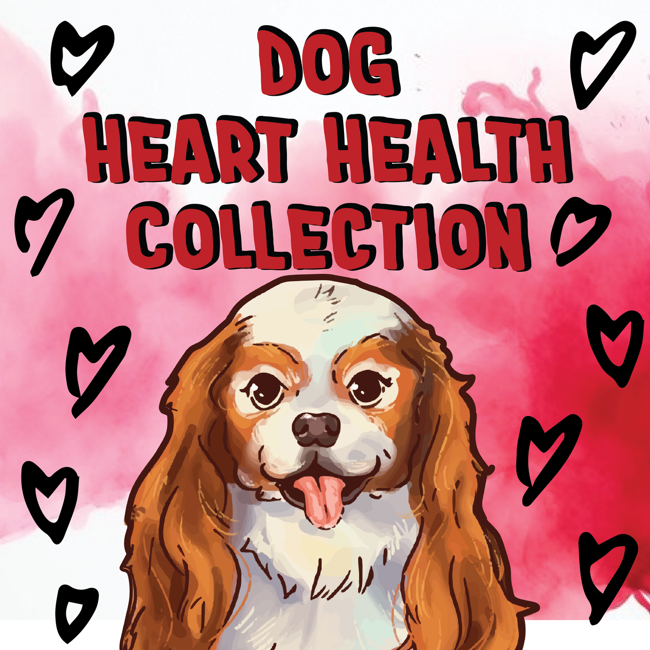 Dog - Heart Health