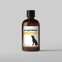 Dogs First | Propythium Moisturising Oil - 50ml