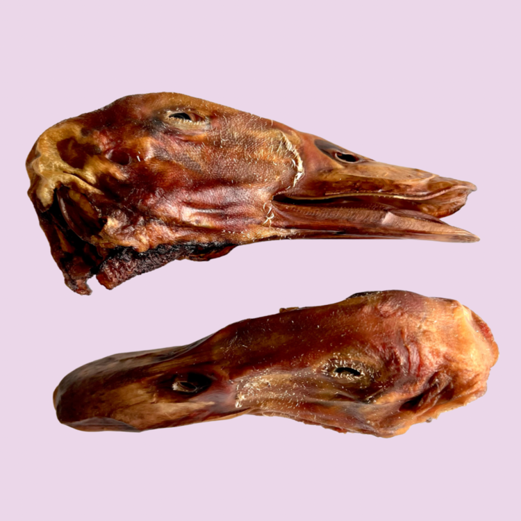 Girls Gone Raw | Duck Heads (2 Pack)