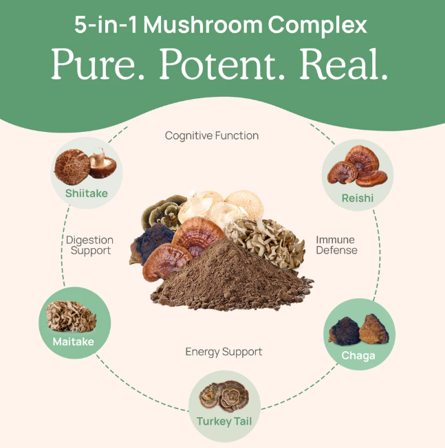 Real Mushrooms | 5 Defenders™ Mushroom Complex Powder - 45g