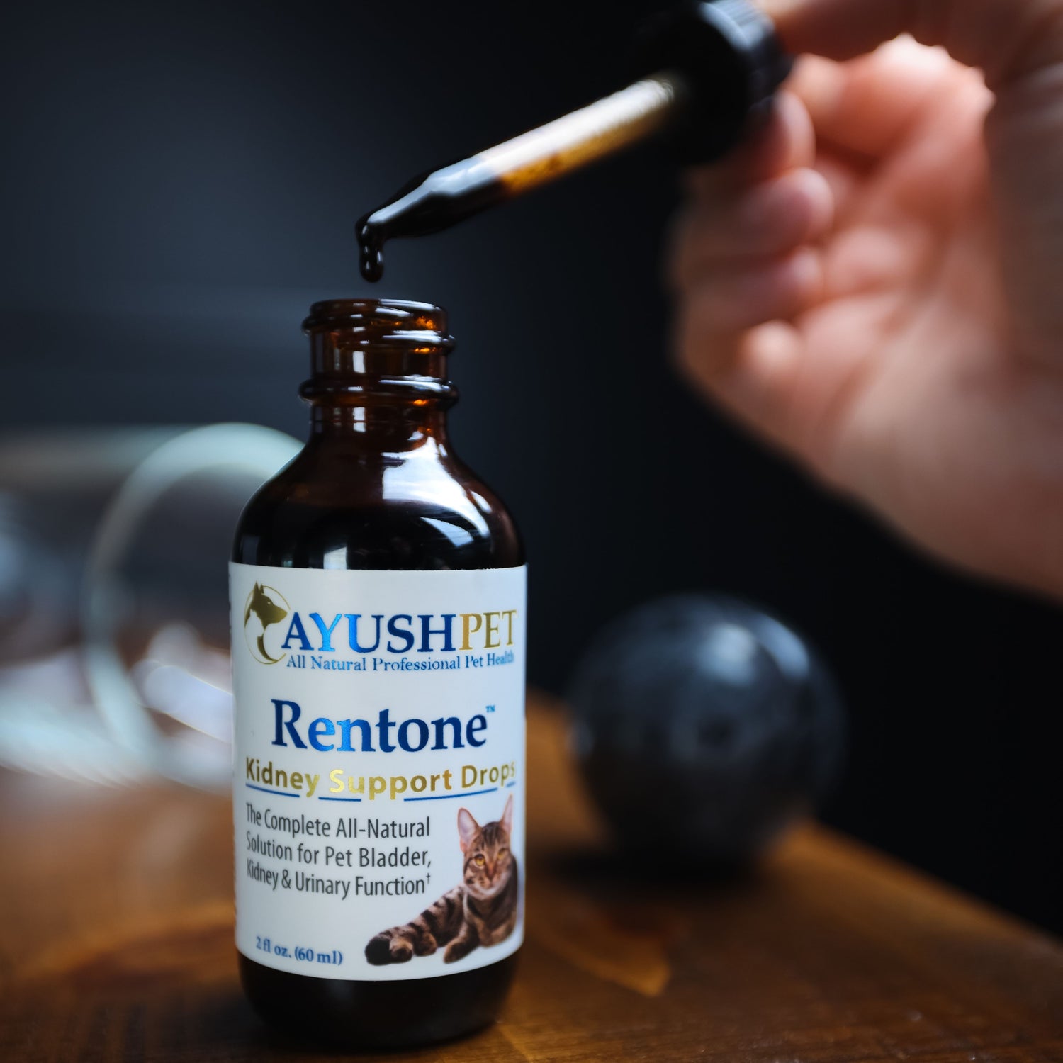 Ayush Pet | Pet Rentone Kidney Support Drops