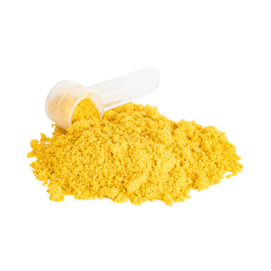 inClover | BioRadiant Skin + Coat Supplement for Dogs + Cats