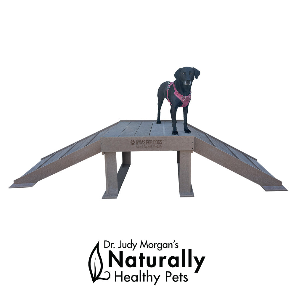 Gyms for Dogs | Boogie's Bride Climb