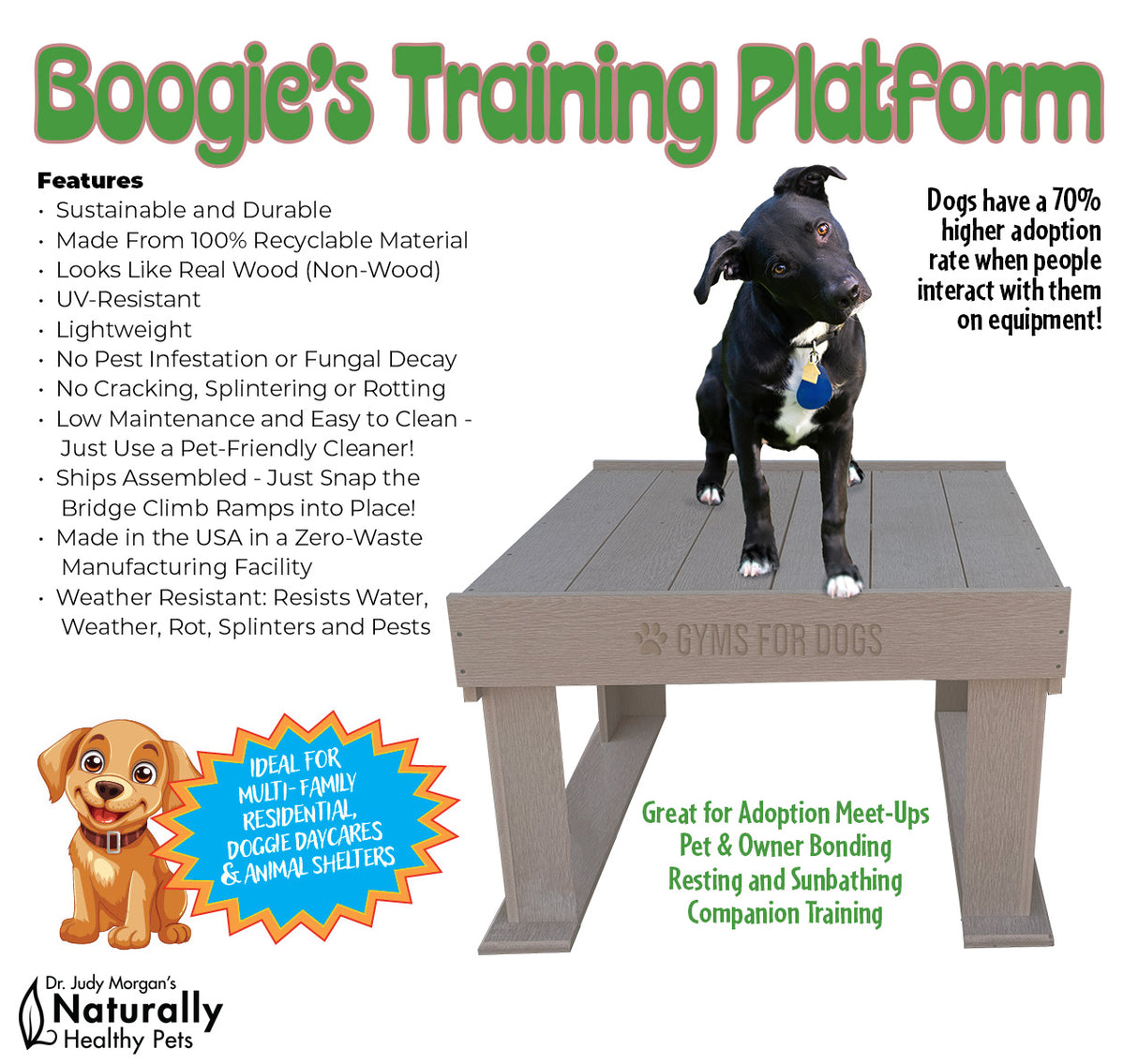 Gyms for Dogs | Boogie's Training Platform