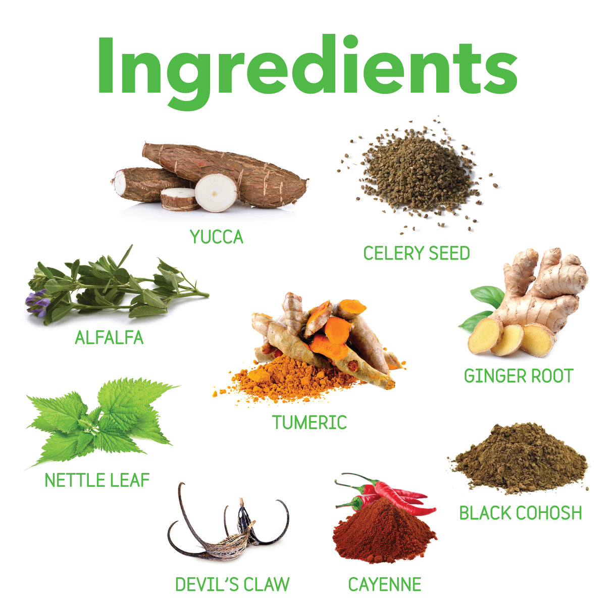 inClover | Connectin Powder for Dogs 12 oz