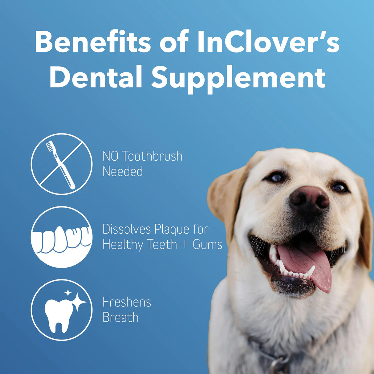 inClover | BioBrilliant Dental Health Powder