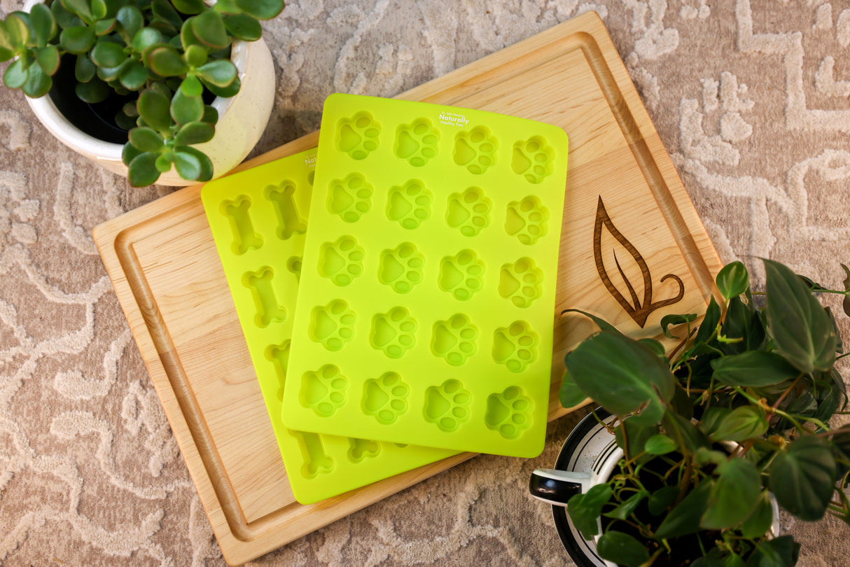 Dr. Judy's Frozen Treat Molds