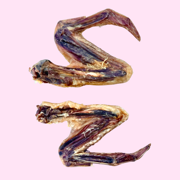 Girls Gone Raw | Duck Wings (2 Pack)