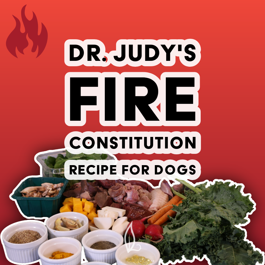 A vibrant display features an assortment of fresh vegetables, fruits, and spices arranged in bowls and piles beneath bold text reading “Dr. Judy's Fire Constitution Recipe for Dogs” on a red background with a flame icon—an eye-catching scene that showcases Dr. Judy's Fire Constitution Recipe ingredients. Ideal for pet owners, this setup encourages you to download your free PDF or discover more through the Animal Diet Formulator.