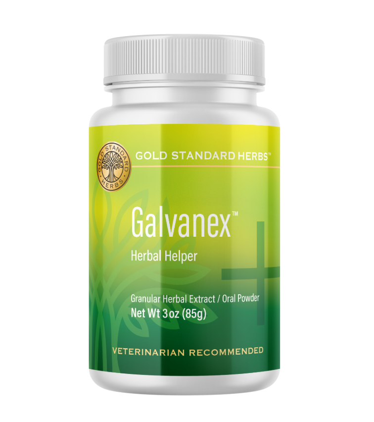 Gold Standard Herbs | Galvanex 85G