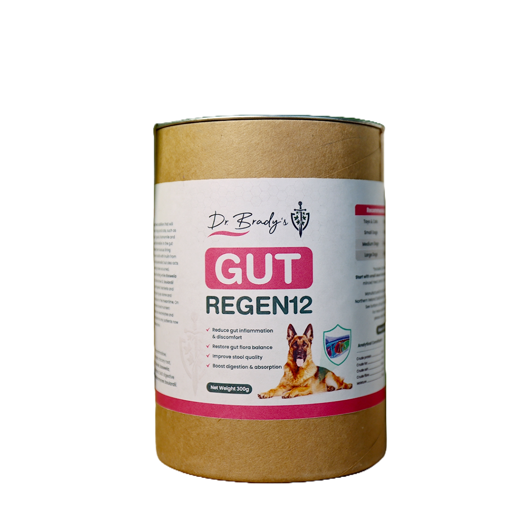 Dr. Brady's Gut Regen12