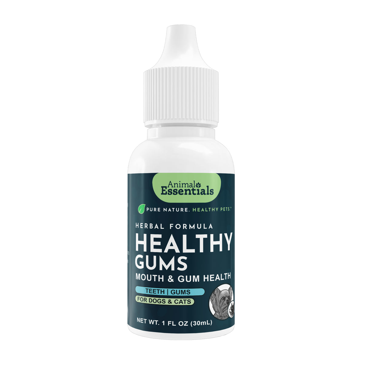 A 1 fl oz bottle of Animal Essentials | Healthy Gums is a natural herbal rinse for dogs and cats, designed to support oral health and help maintain fresh breath. Packaged with a white dropper cap and green-blue label, this mouth and gum health supplement promotes healthy gums in pets.