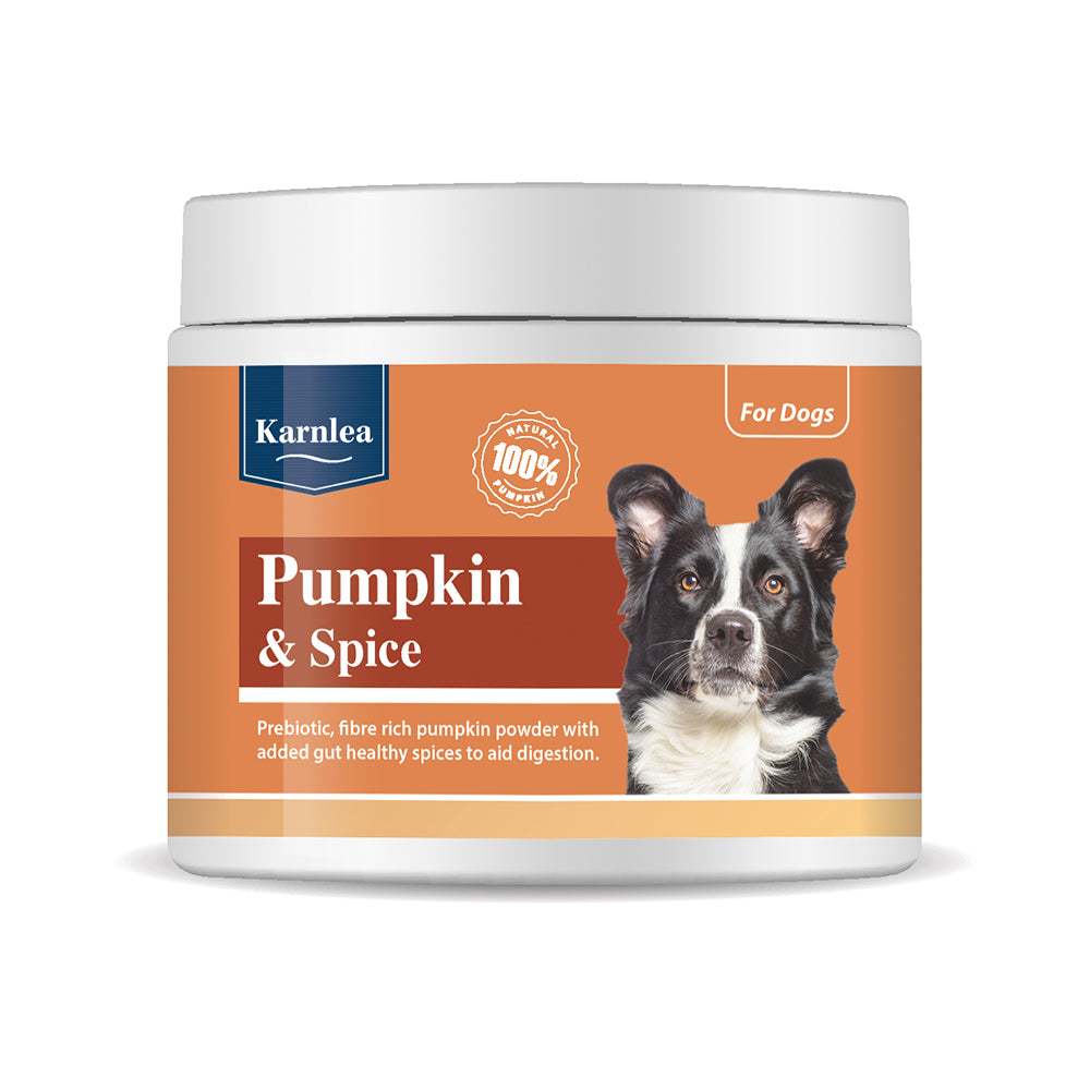 KarnLea | Pumpkin & Spice