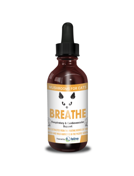 MycoCat | Breathe - Mushroom Extract & Adaptogen Tincture
