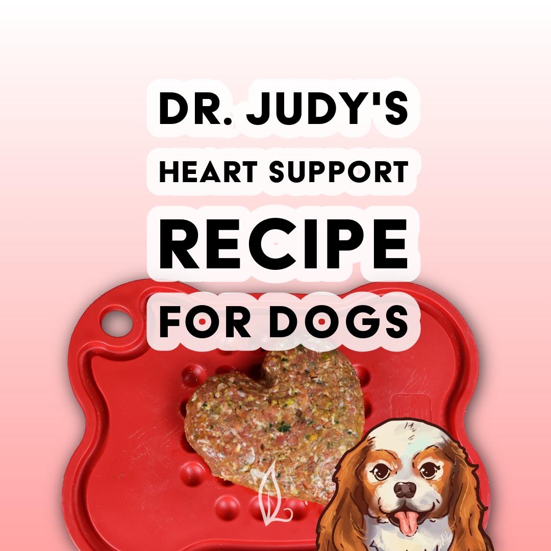 Dr. Judy's Heart Support Diet for Dogs