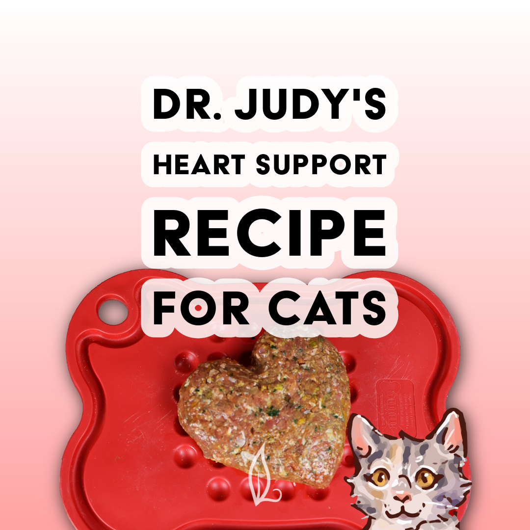Dr. Judy's Heart Support Diet for Cats