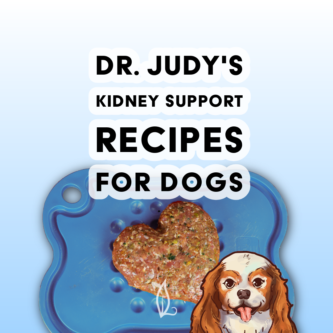 Kidney Support Diet for Dogs