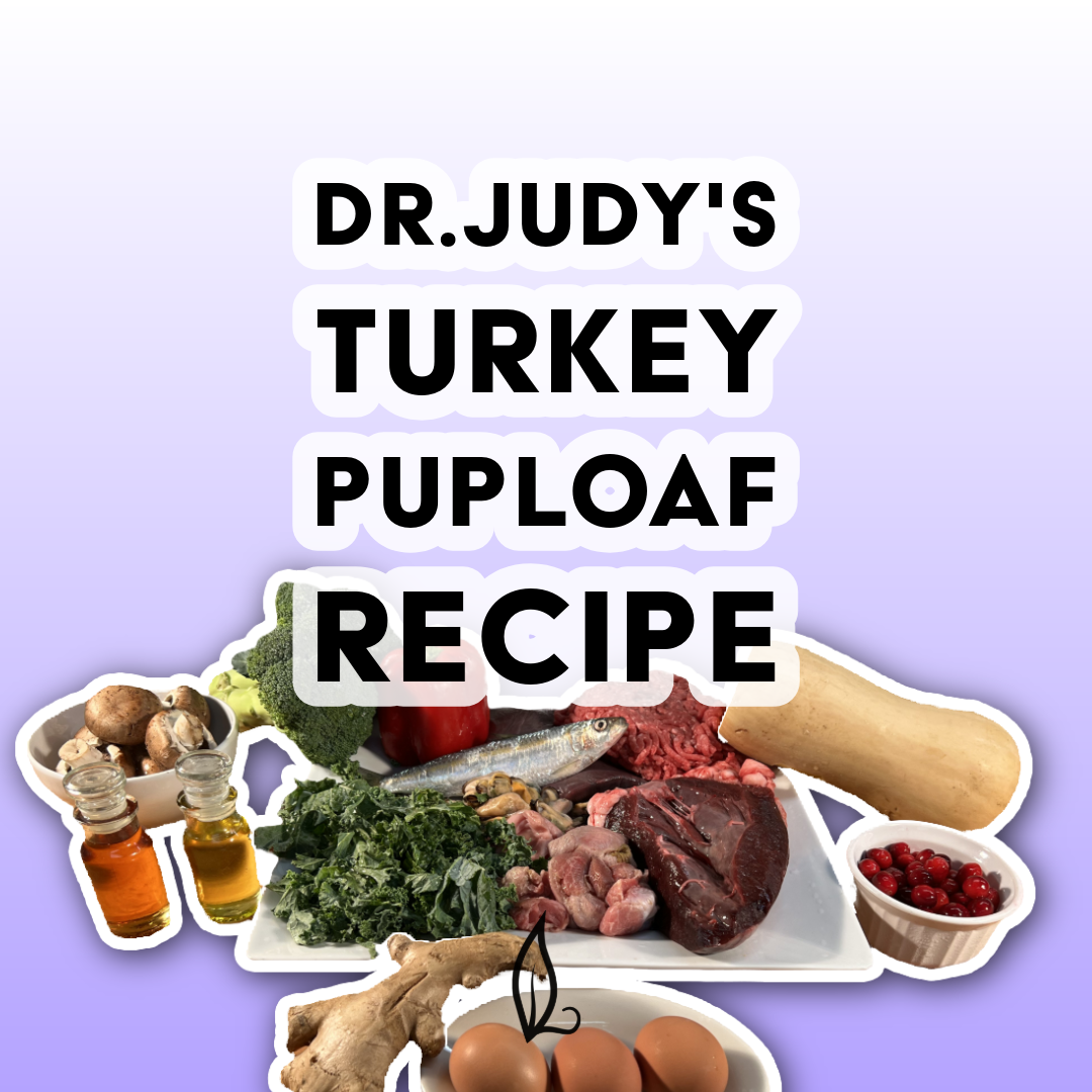 Dr. Judy's Turkey Puploaf Recipe
