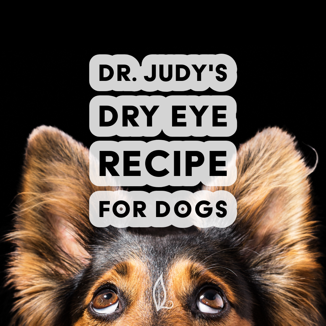 A close-up of a dog’s face with large, expressive eyes and ears up, featuring the text “Dr. Judy's Dry Eye Diet Recipe” on a black background—created with Animal Diet Formulator and available as a free PDF download.