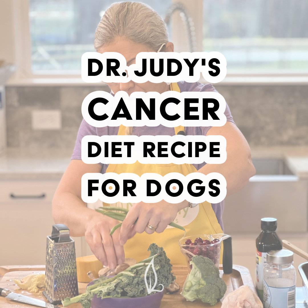 A woman in a kitchen prepares Dr. Judy's Cancer Diet Recipe for Dogs using fresh vegetables, a grater, and other wholesome ingredients. Text overlay reads: Dr. Judy's Cancer Diet Recipe with free PDF download.