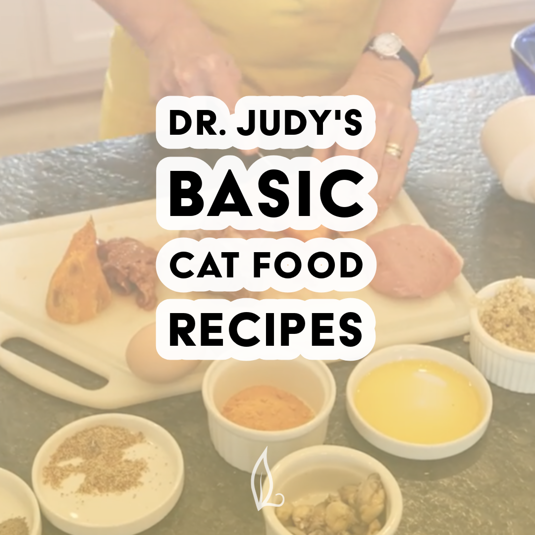 Dr. Judy's Basic Cat Food Recipes