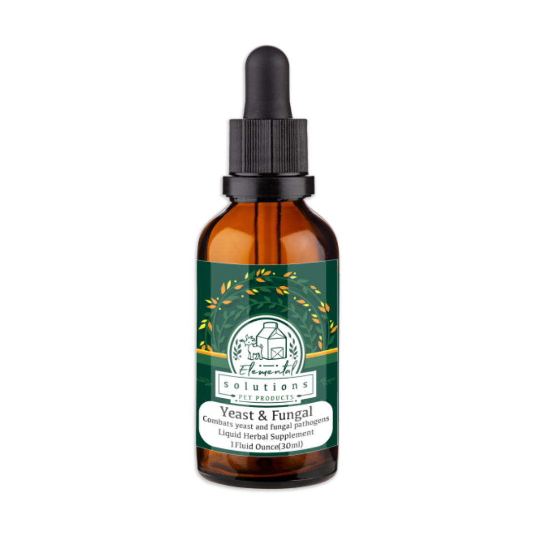 Solutions Pet Products | Yeast & Fungal Tincture - 1oz