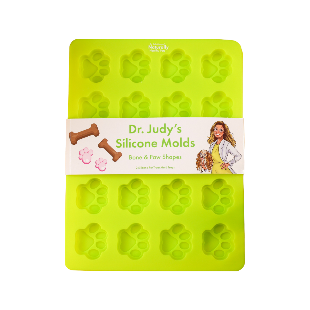 Dr. Judy's Frozen Treat Molds – Dr. Judy Morgan's Naturally