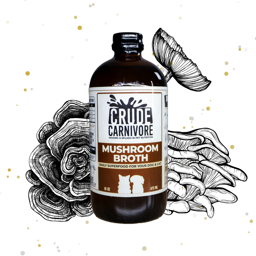 Crude Carnivore | Mushroom Broth - 16oz