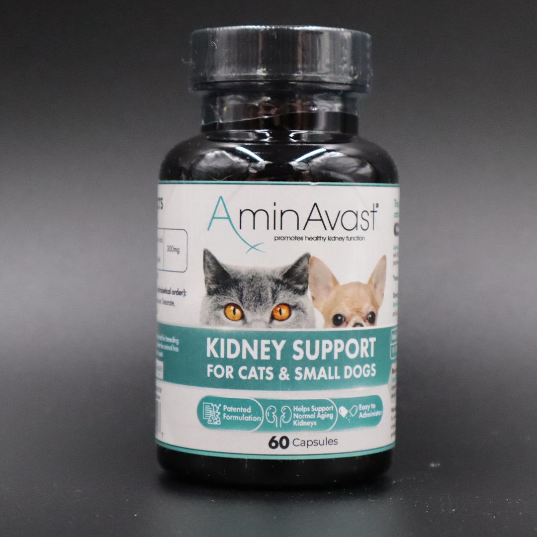 AminAvast Kidney Support for Small Dogs & Cats, 60 count