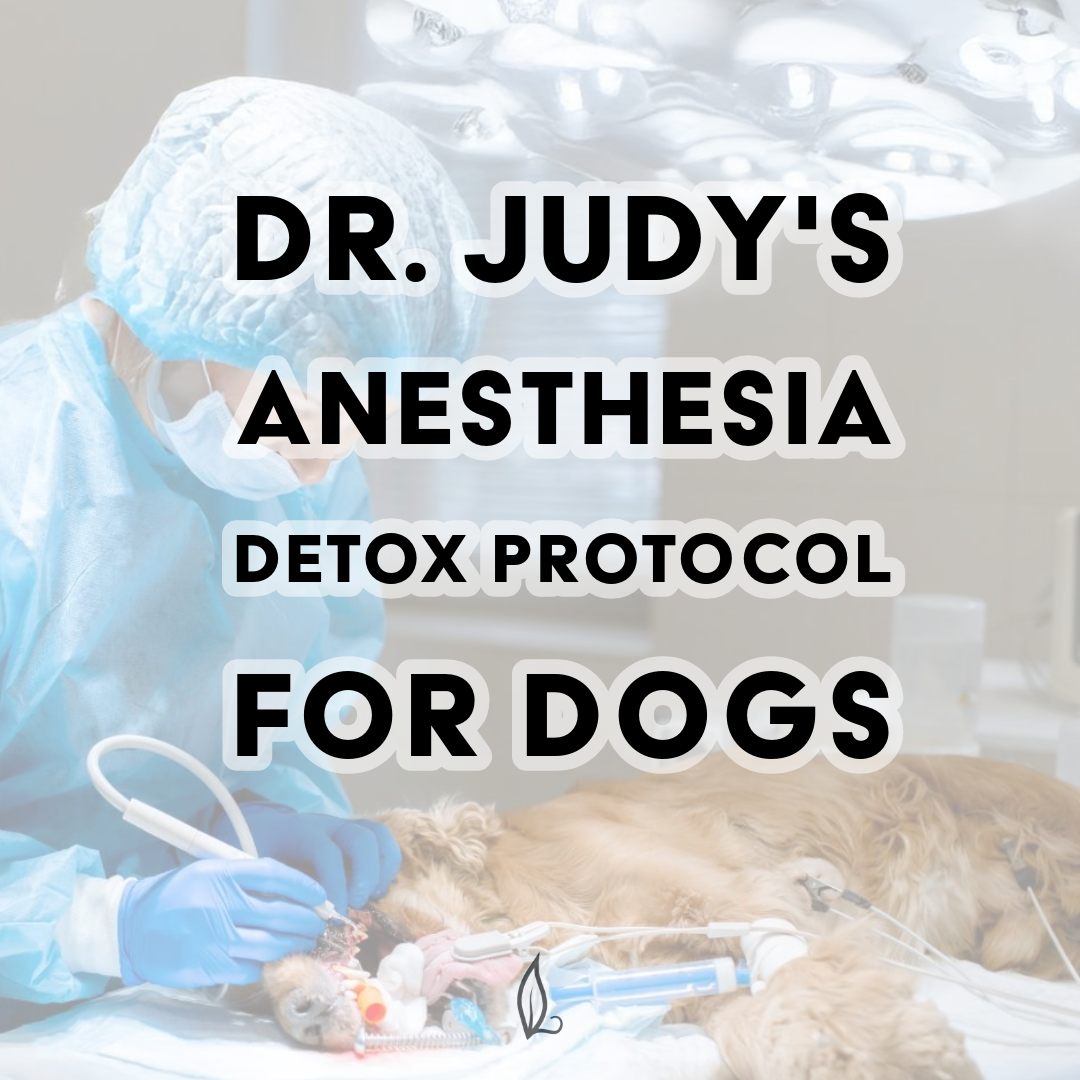 Dr. Judy's Anesthesia Detox Protocol for Dogs