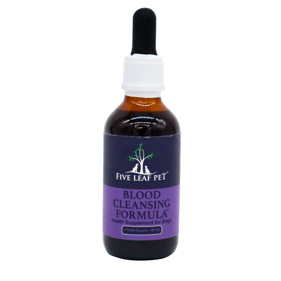 A brown bottle labeled Five Leaf Botanicals | Canine Kidney Health Program with a white cap and black dropper, set against a white background. This herbal supplement is specially formulated for canine kidney health and provides essential dog kidney support.