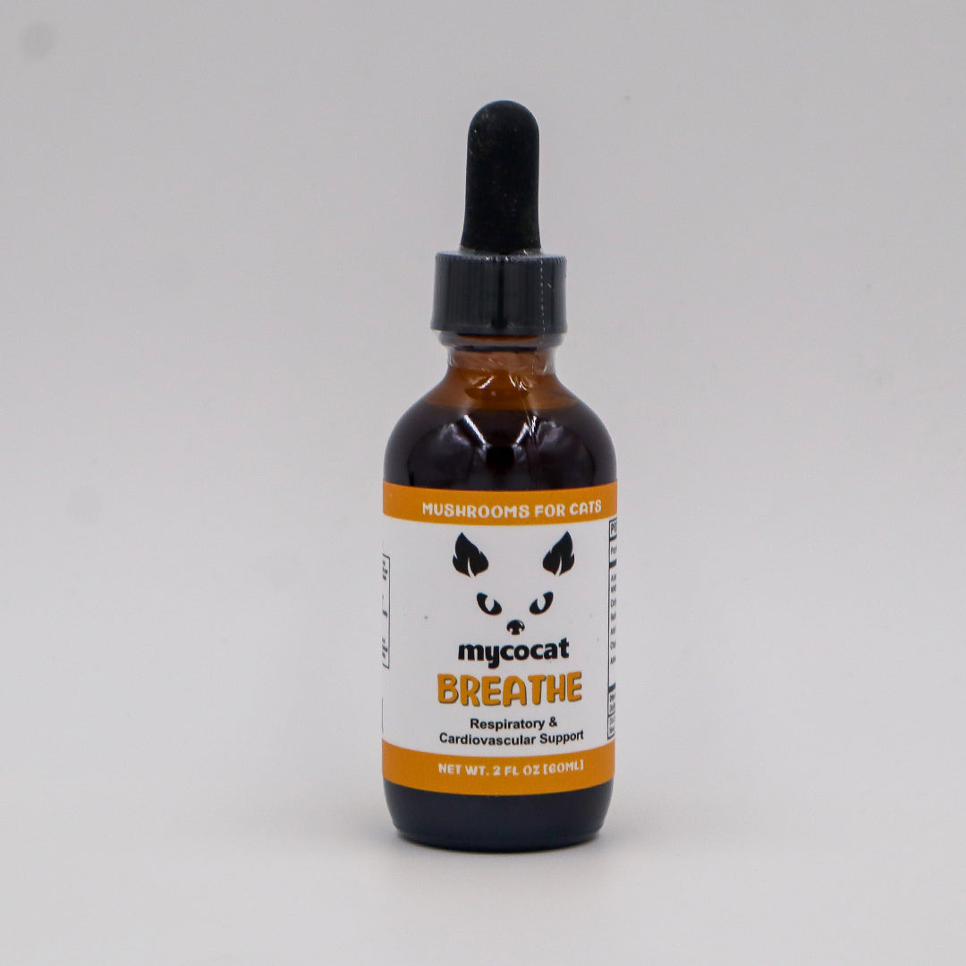 MycoCat | Breathe - Mushroom Extract & Adaptogen Tincture