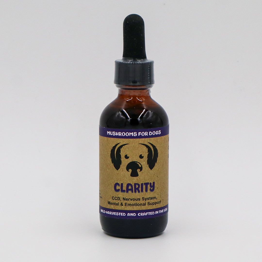 MYCODog | Clarity - Mushroom Extract & Adaptogen Tincture