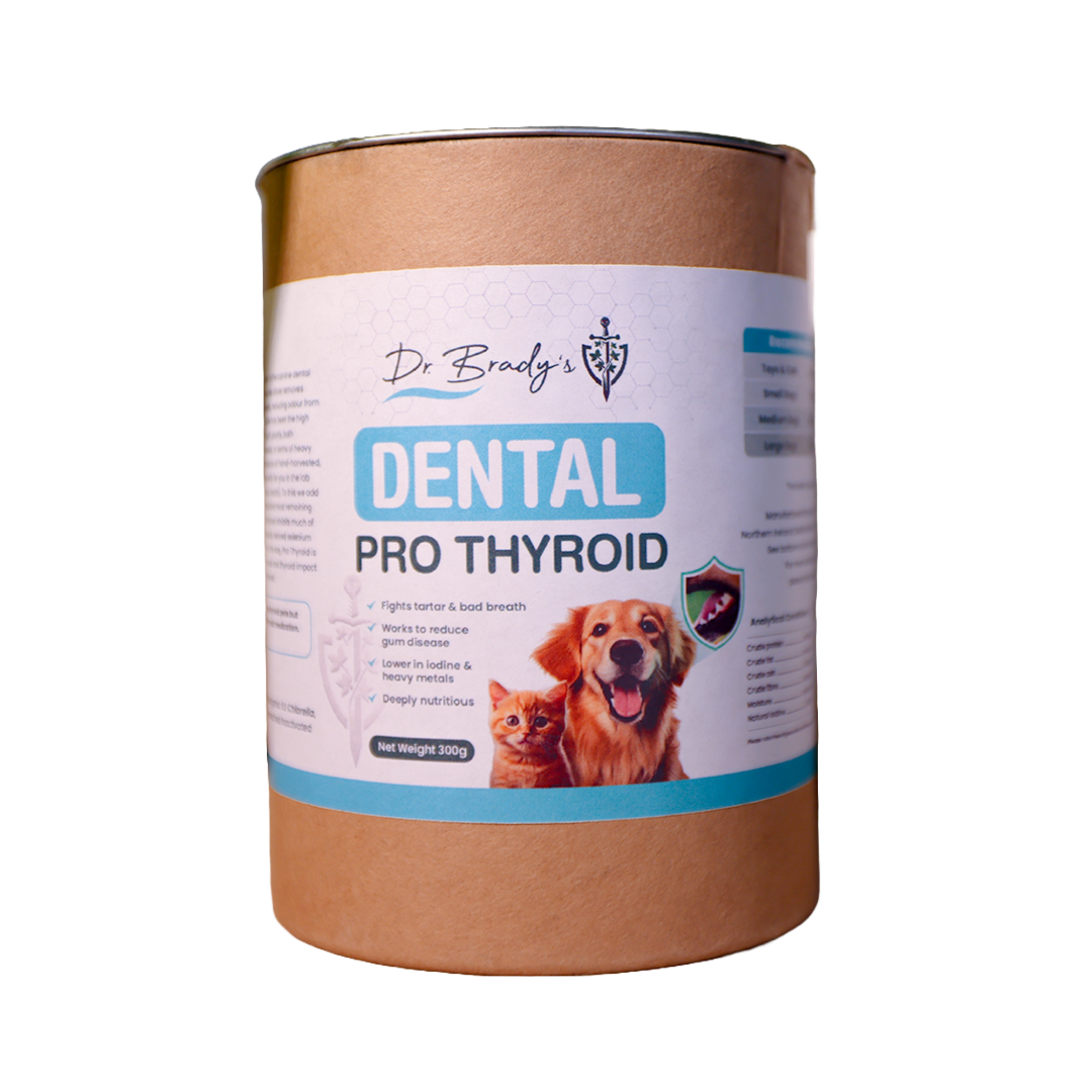 Dr. Brady's Dental Pro Thyroid