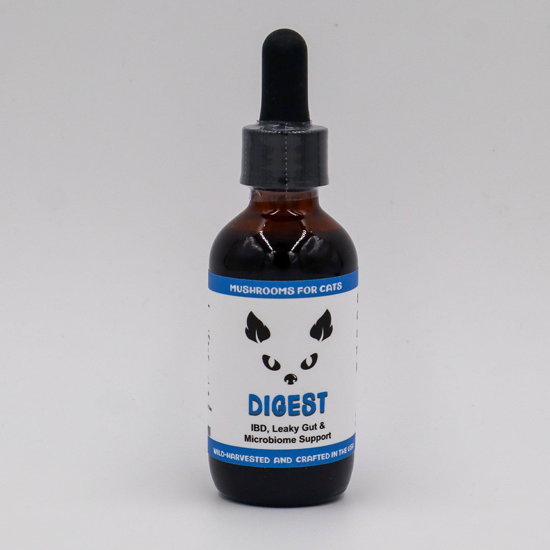 MycoCat | Digest - Mushroom Extract & Adaptogen Tincture