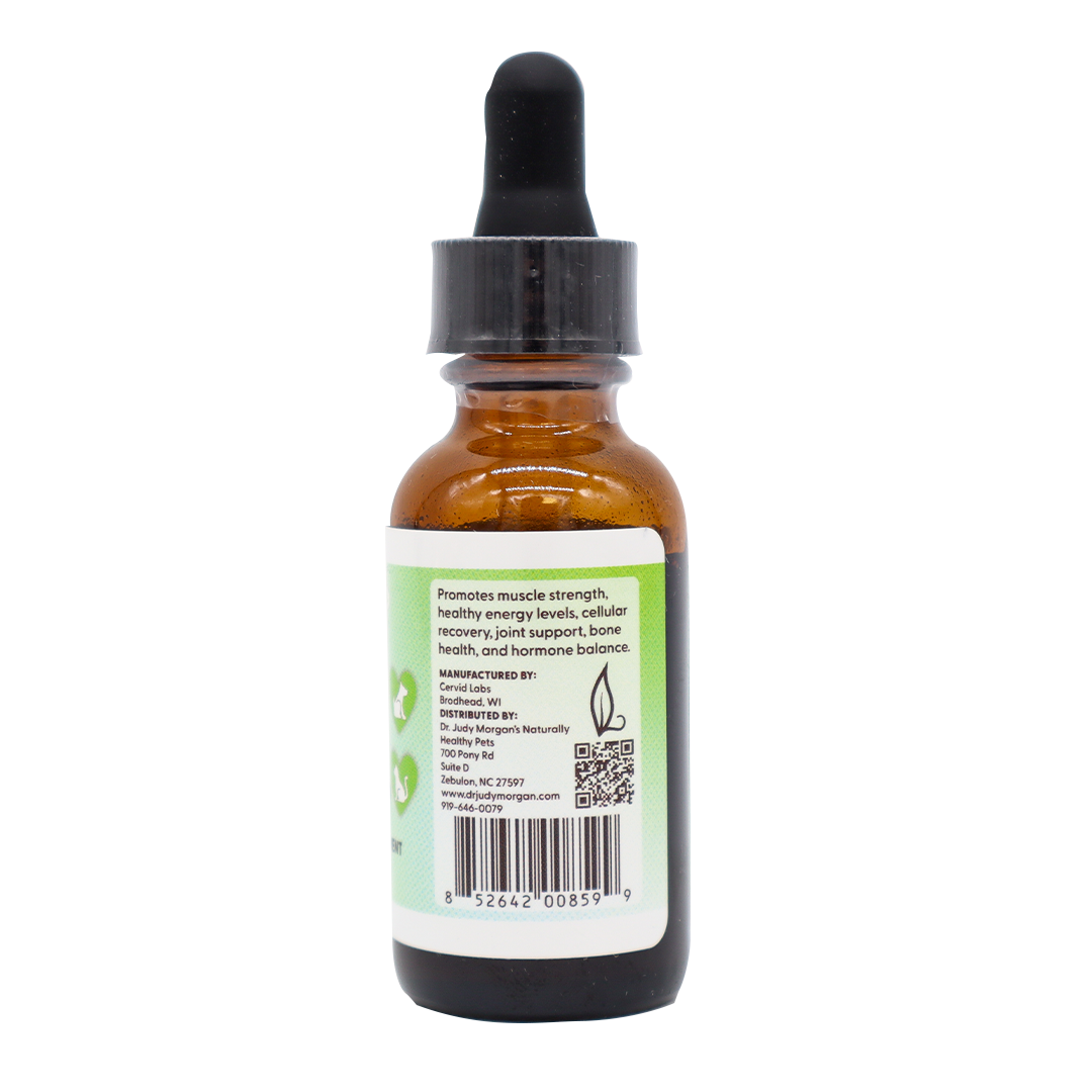 Dr. Judy's Elk Velvet Liquid Extract for Pets - 1 oz.