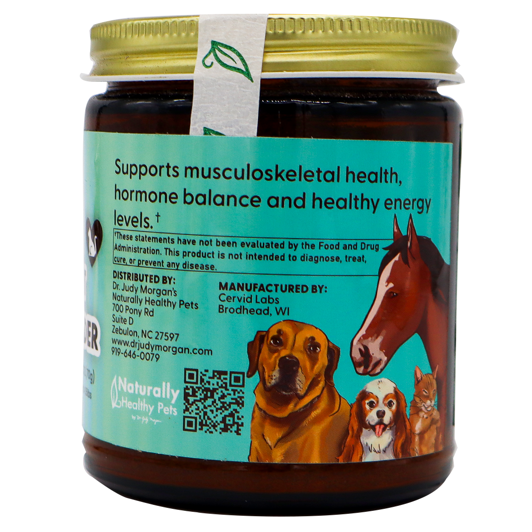 Dr. Judy's Elk Velvet Antler Powder for Equines & Large Dogs – 70g comes in a jar with a turquoise label featuring illustrations of a horse and four dogs. This dog mobility supplement contains elk velvet antler powder to promote musculoskeletal health, hormone balance, energy, and advanced joint support for dogs. Distributed by Dr. Judy Morgan’s Naturally Healthy Pets and manufactured by Cervid Labs.