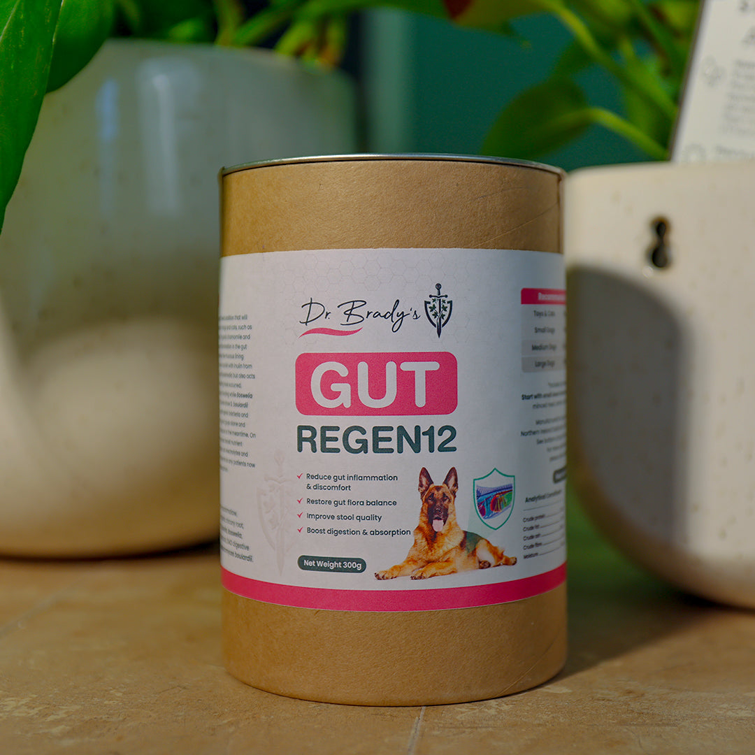 Dr. Brady's Gut Regen12