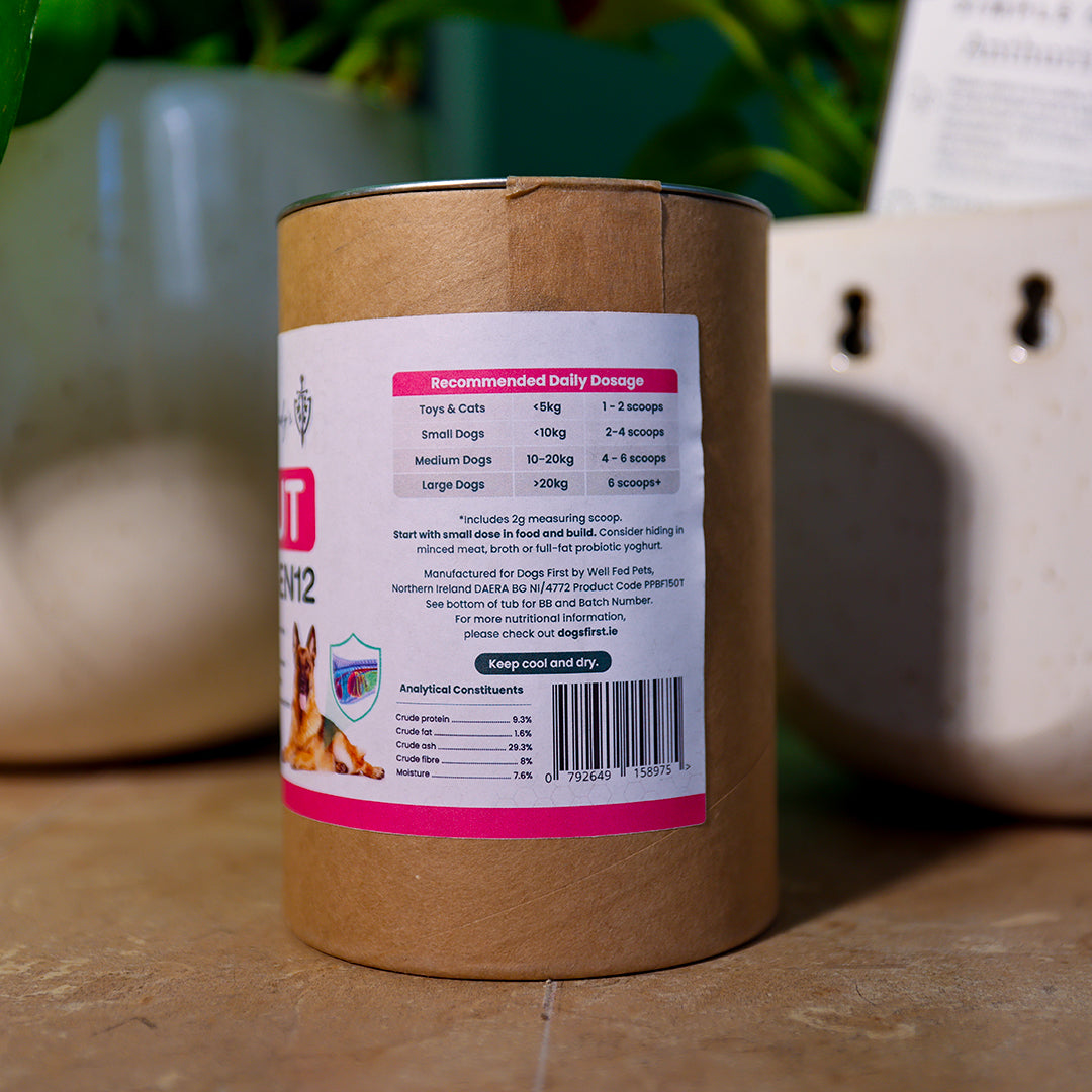 Dr. Brady's Gut Regen12