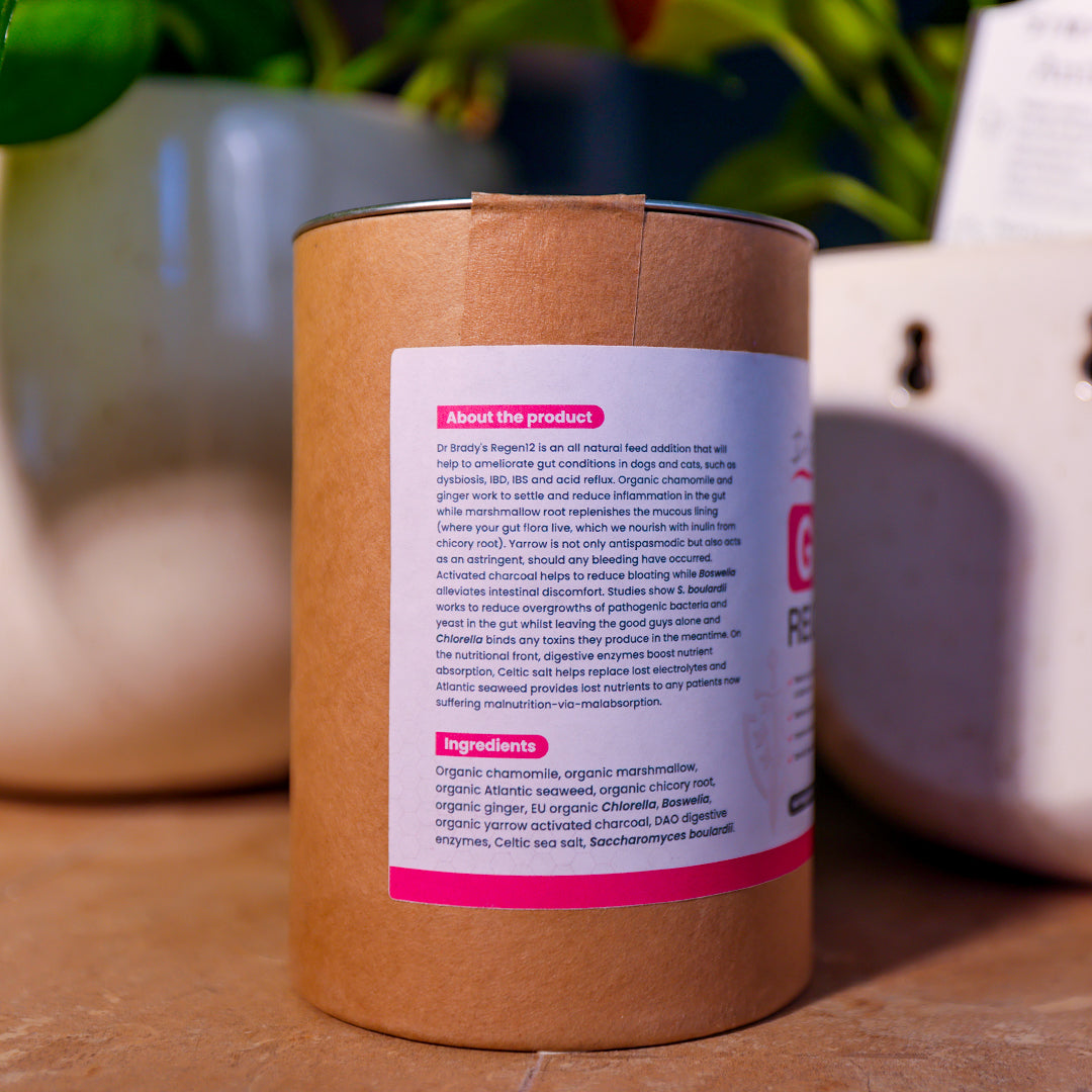 Dr. Brady's Gut Regen12