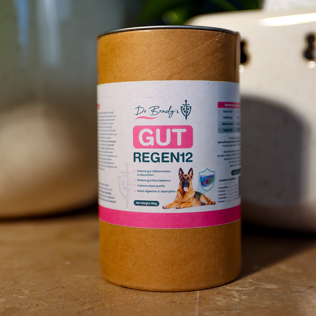 Dr. Brady's Gut Regen12